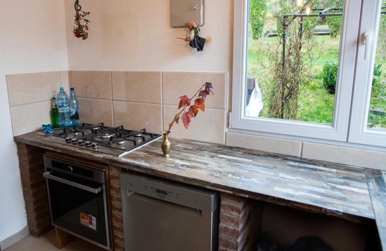 Casa Cu Magnolii Poienile Izei Exterior foto