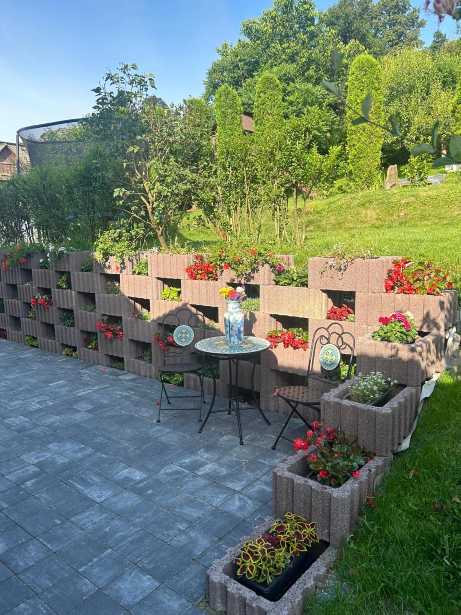 Casa Cu Magnolii Poienile Izei Exterior foto