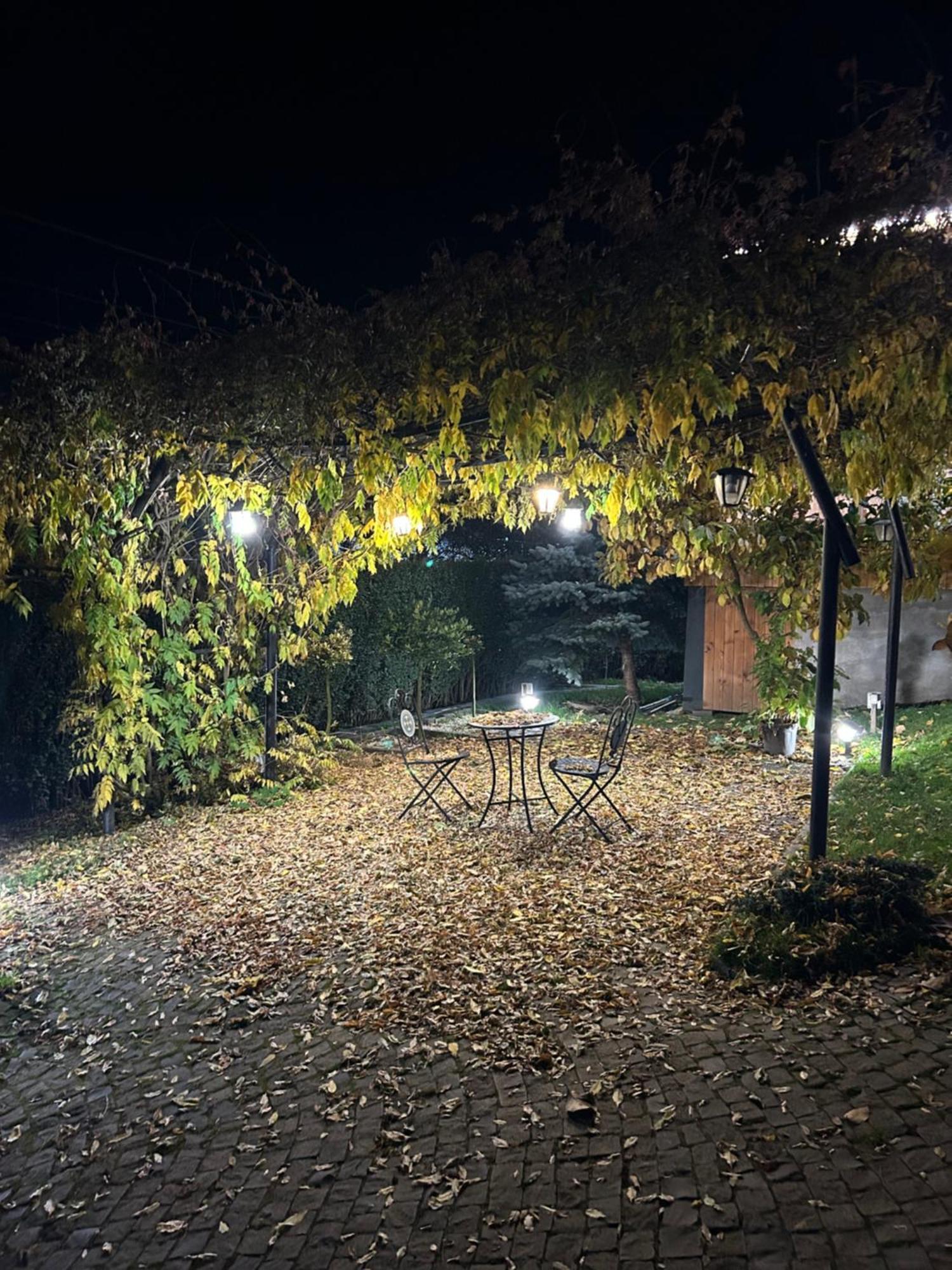 Casa Cu Magnolii Poienile Izei Exterior foto