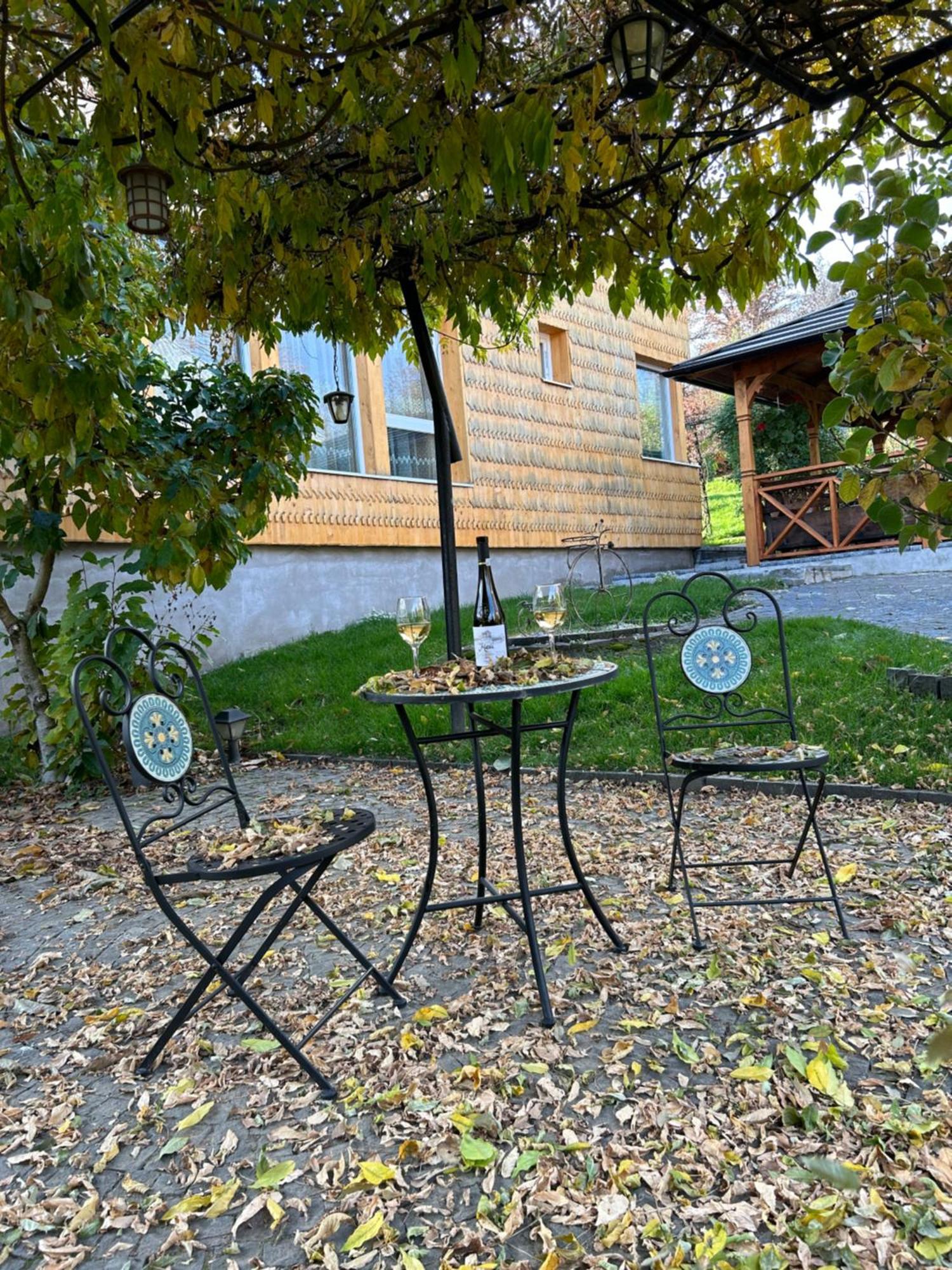 Casa Cu Magnolii Poienile Izei Exterior foto