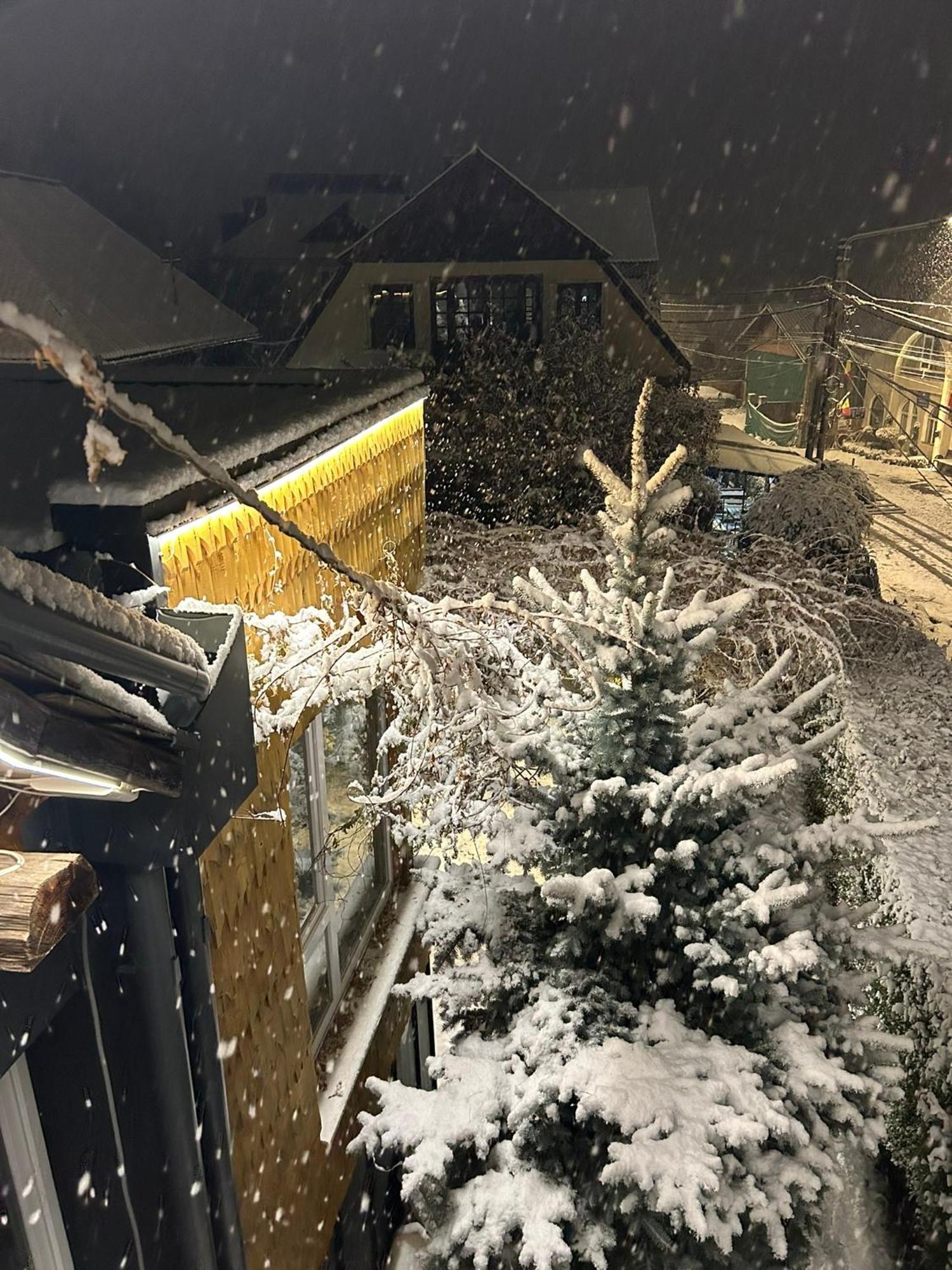 Casa Cu Magnolii Poienile Izei Exterior foto